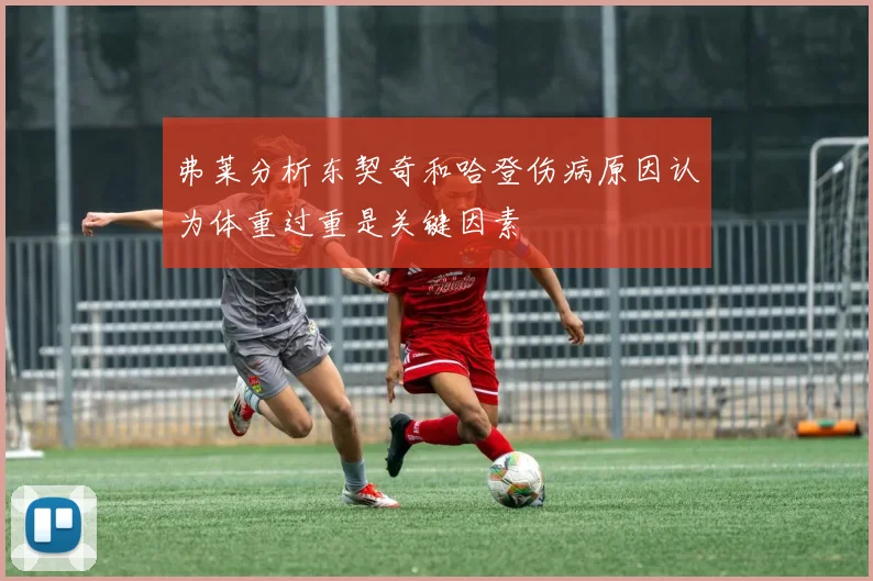 弗莱分析东契奇和哈登伤病原因认为体重过重是关键因素